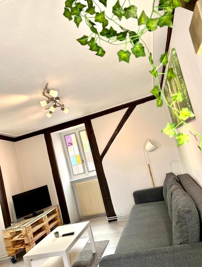 Seppala Charmant Appartement Colmar Exterior photo