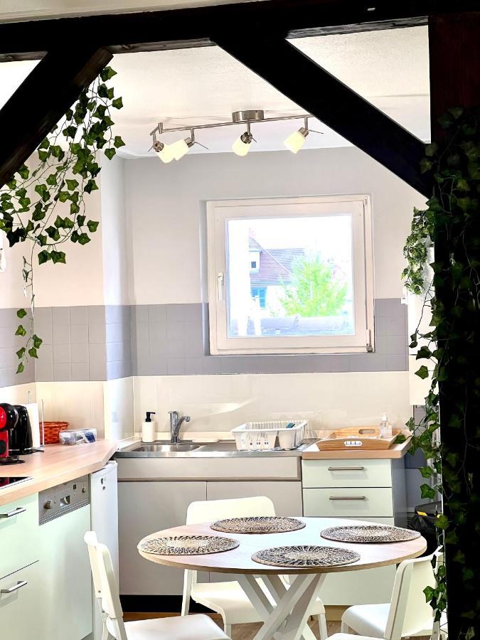 Seppala Charmant Appartement Colmar Exterior photo