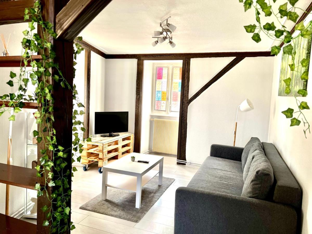 Seppala Charmant Appartement Colmar Exterior photo